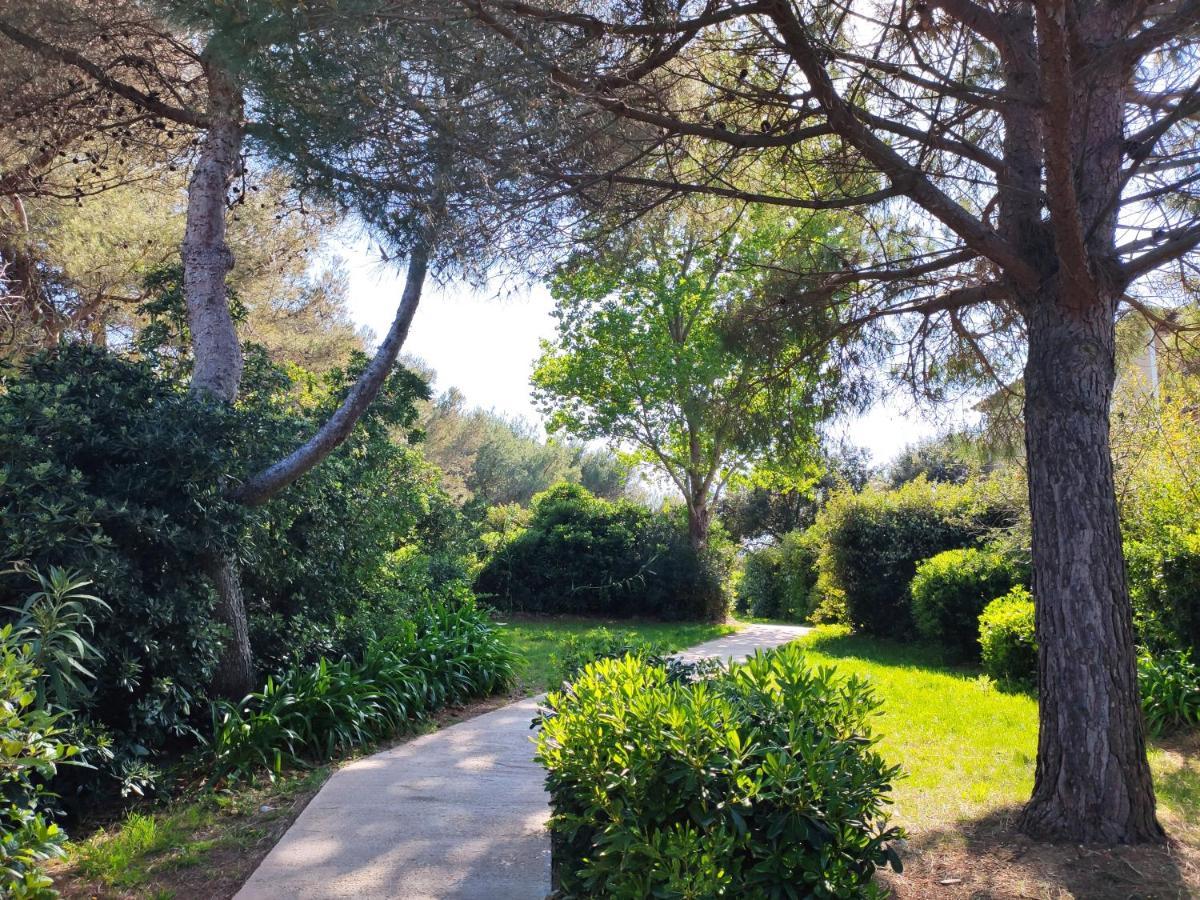 Domaine De La Coudouliere, Vue Mer, Plage, Piscine Et Parc ซิ-ฟูร์-เล-ปลาจ ภายนอก รูปภาพ