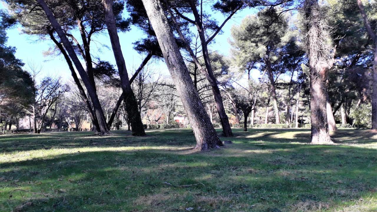 Domaine De La Coudouliere, Vue Mer, Plage, Piscine Et Parc ซิ-ฟูร์-เล-ปลาจ ภายนอก รูปภาพ